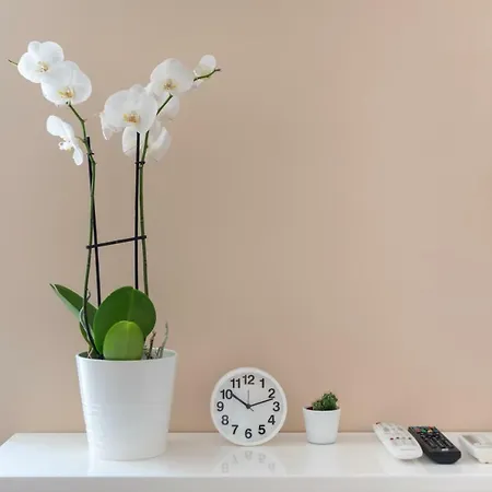 Talisman Appartement