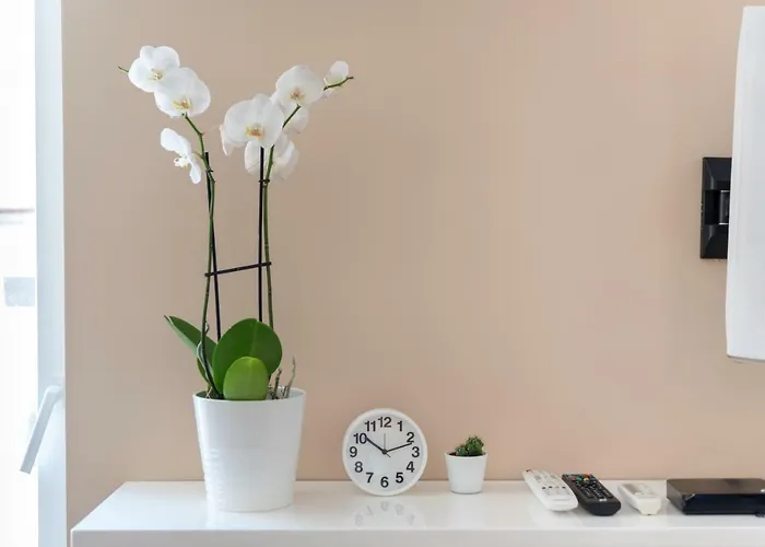 Talisman Appartement